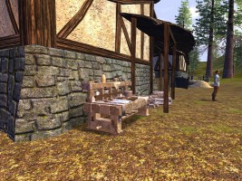 Vanguard: Saga of Heroes Screenshot